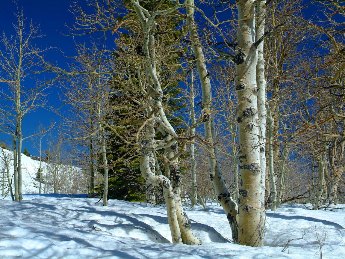 005-132.jpg