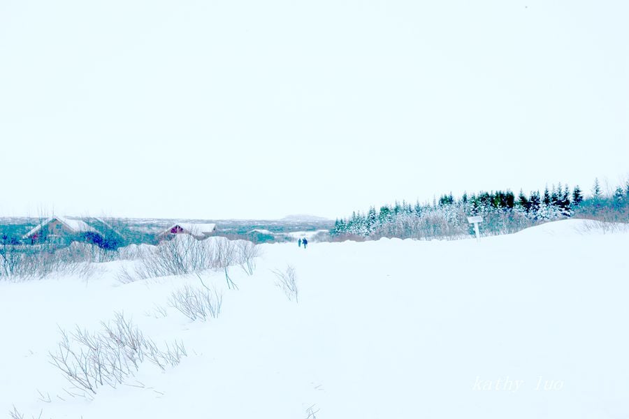 013601zri17zoxz5g9ig7w.jpg