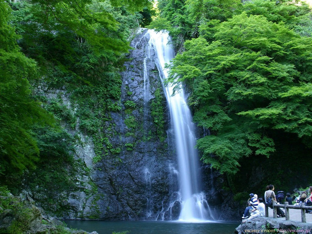 nature_hokkaido_summer_field_442_2.jpg