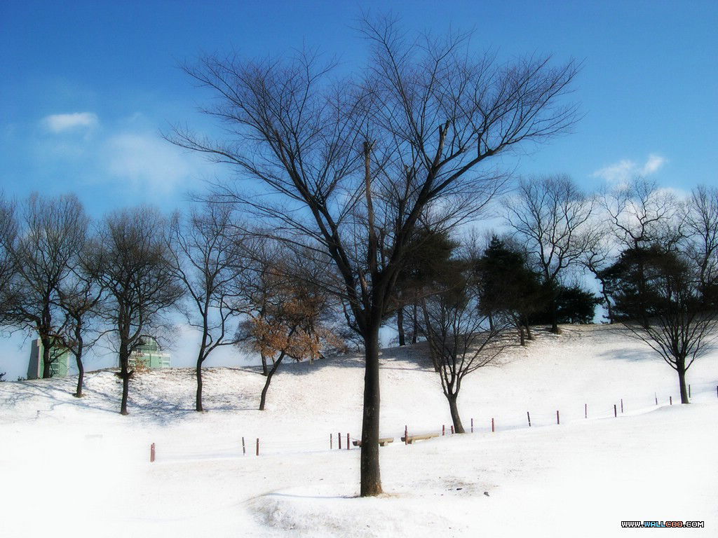 051012snow14.jpg