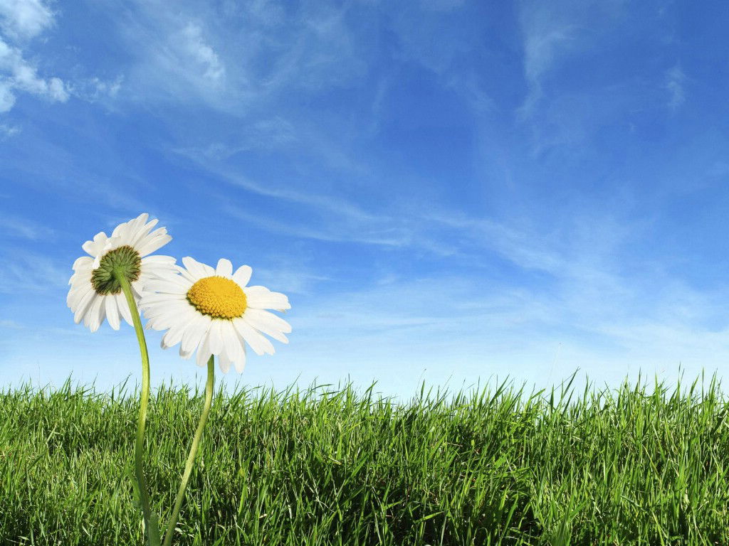 nature_amazing_hd_landscapes_wallpapers_19942_2.jpg