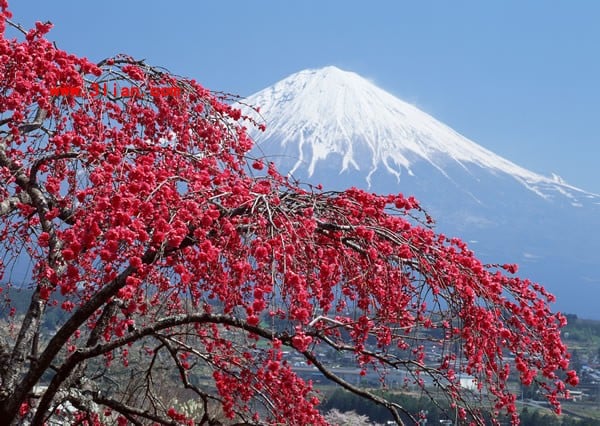 風景 (24).jpg