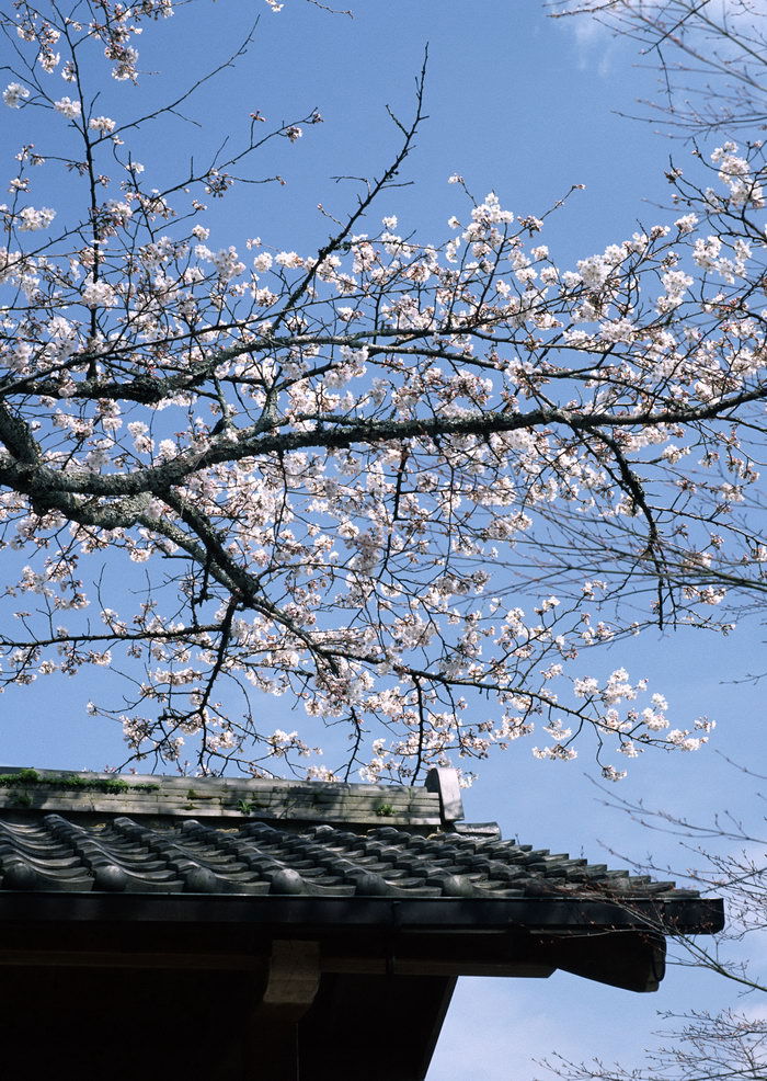 風景 (46).jpg
