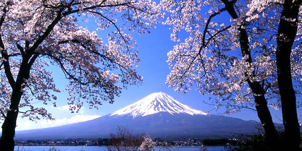 風景 (50).JPG