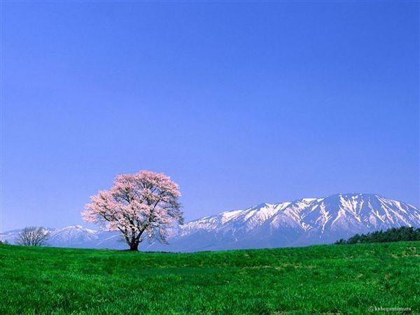 風景1 (99).jpg