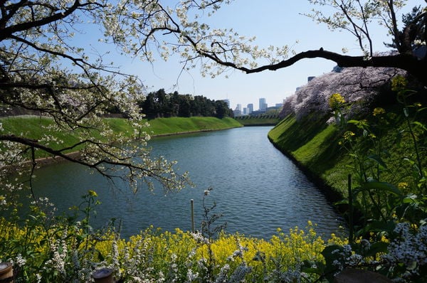 風景1 (104).jpg
