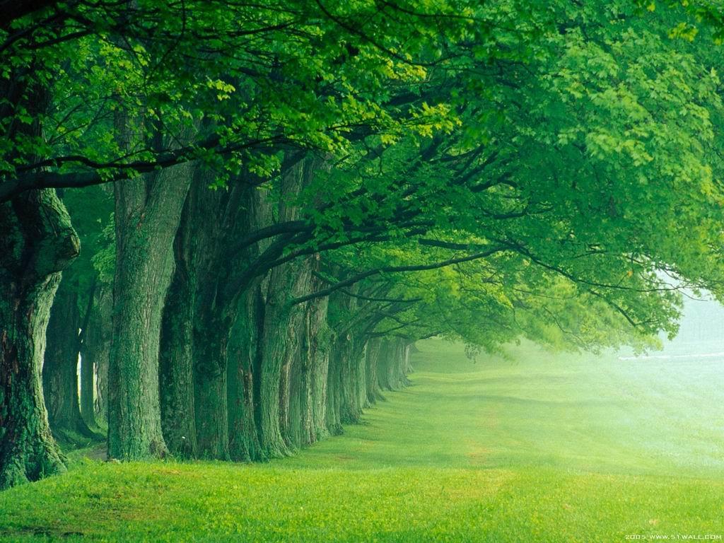 風景1 (129).jpg