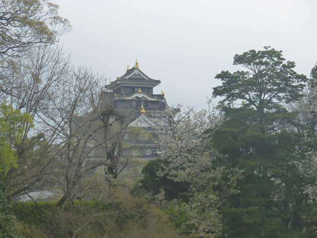 風景1 (146).jpg