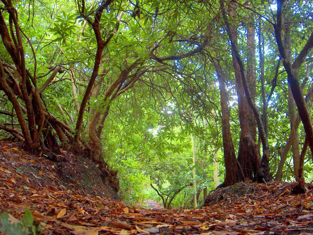風景1 (169).jpg