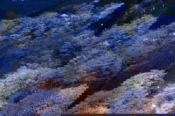 好看風景 (214).jpg