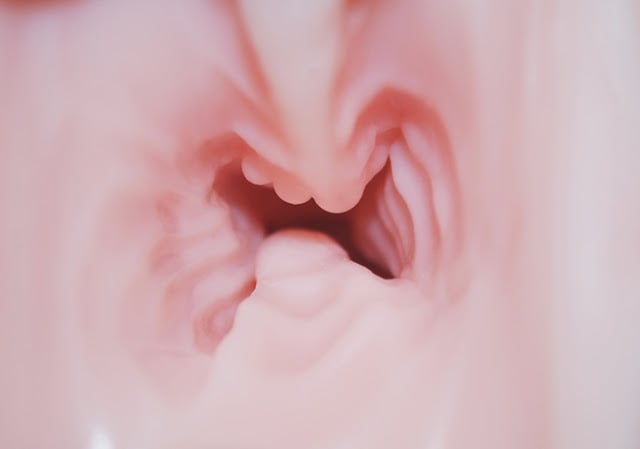 DSC_9326.JPG