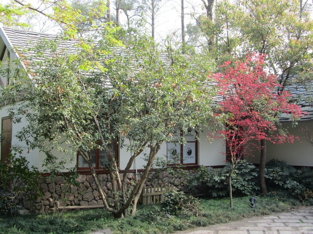 風景圖 (27).jpg
