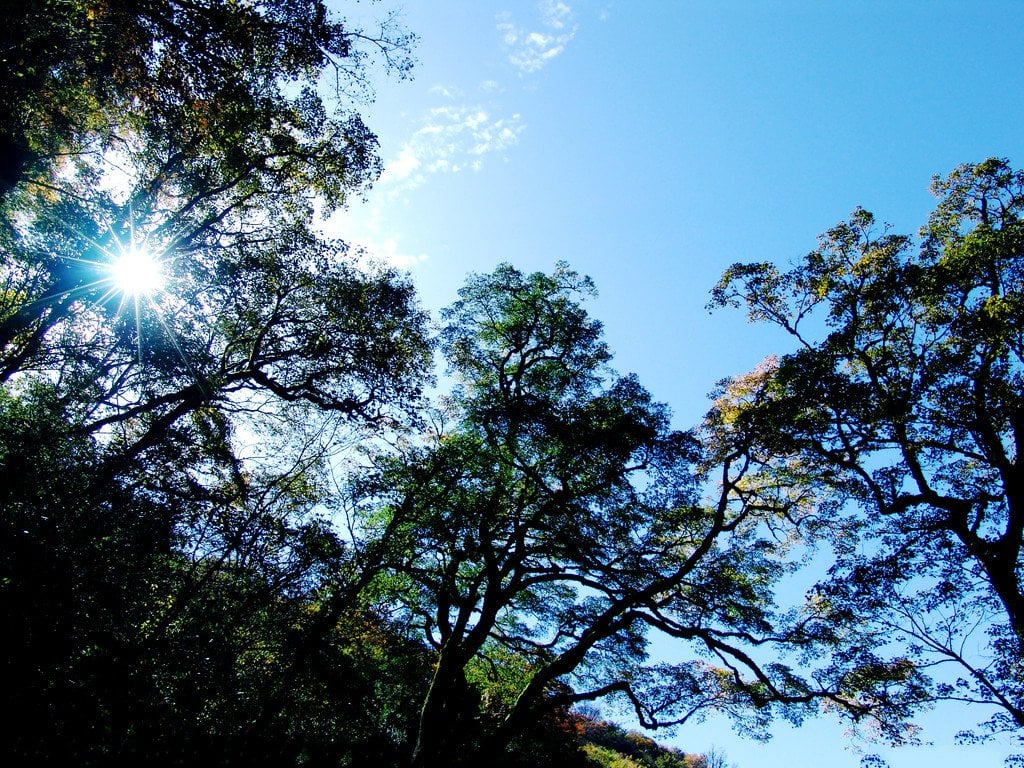 風景圖 (56).jpg