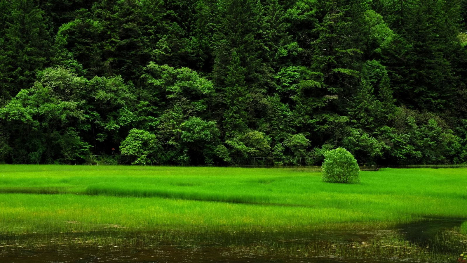 風景圖 (16).jpg