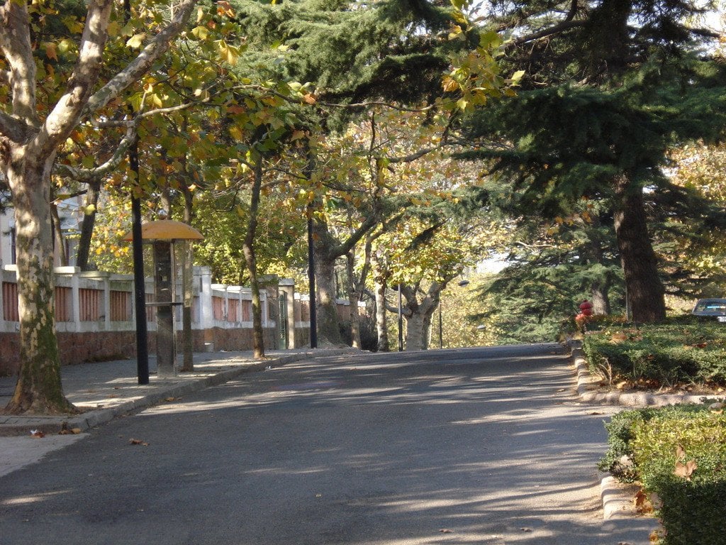 風景 (140).jpg