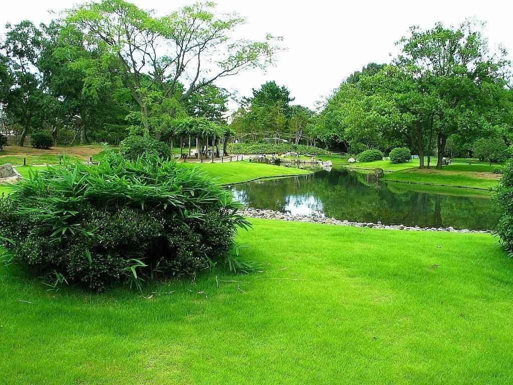 風景 (172).jpg