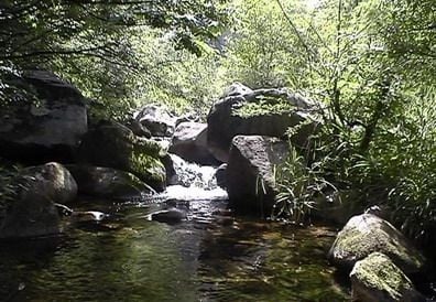 20071221926210.jpg