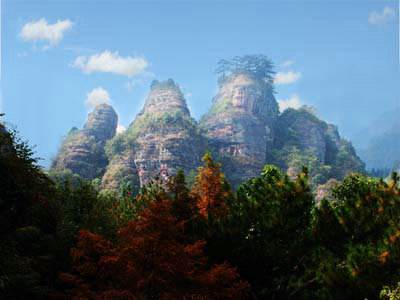 timg (5).jpg
