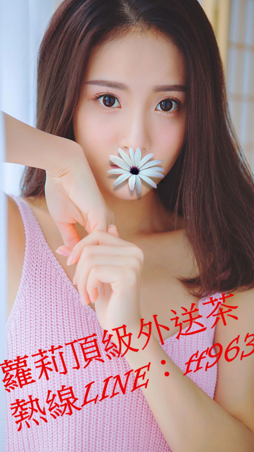 菜菜.jpg
