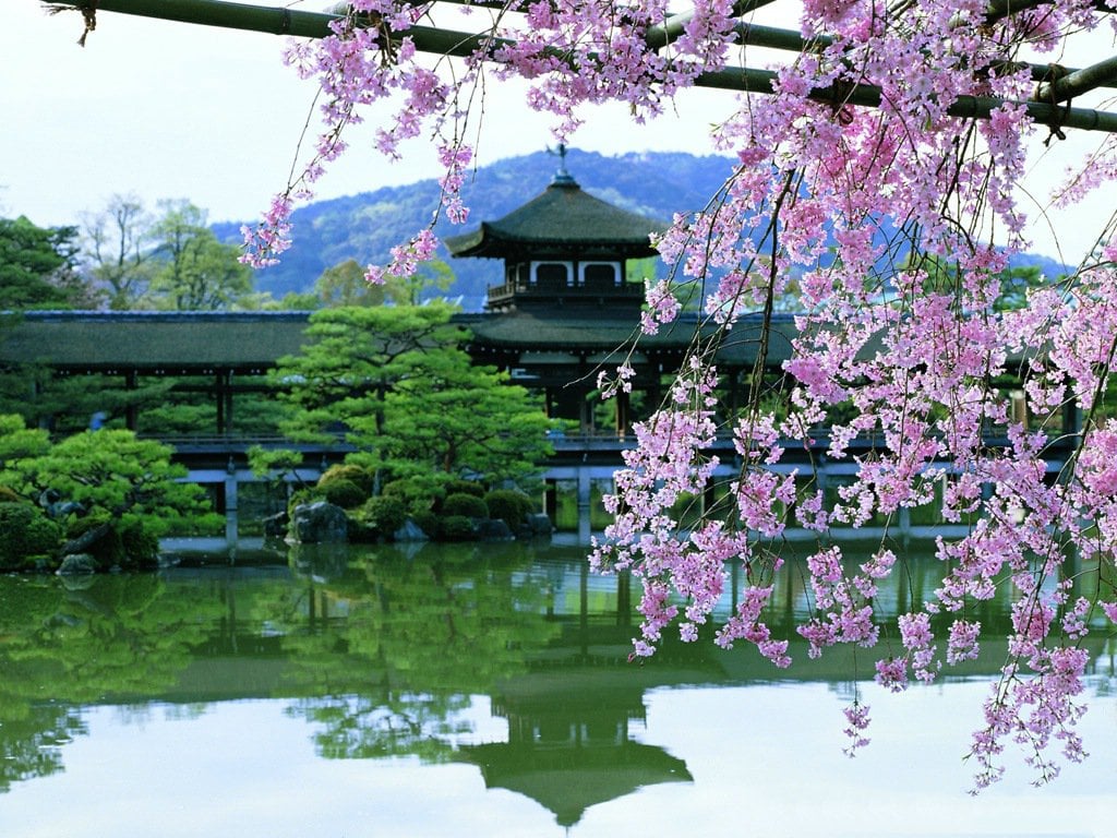 風景 (160).jpg