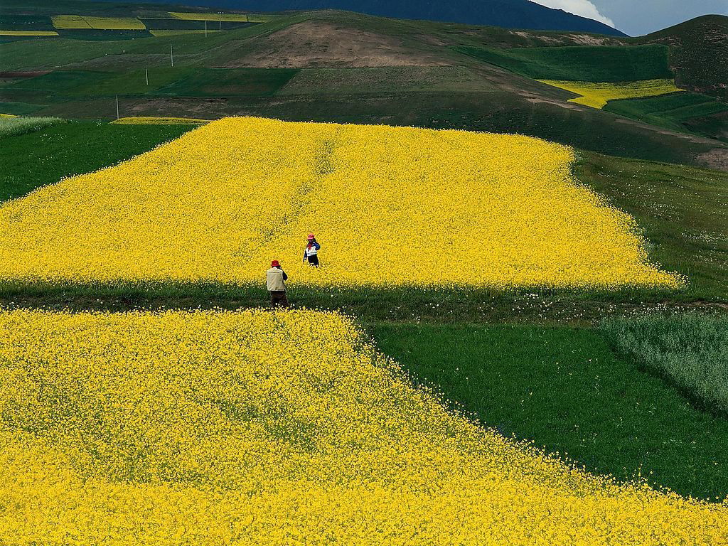 風景 (228).jpg