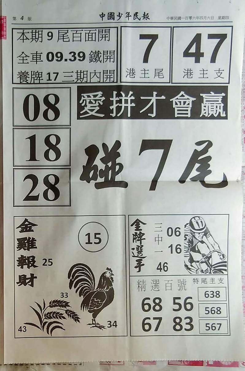 1491400311872693.jpg