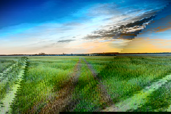 Fotolia_74791518_Subscription_L-600x400.jpg