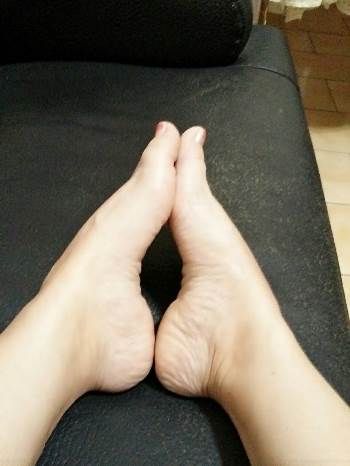 42290.jpg