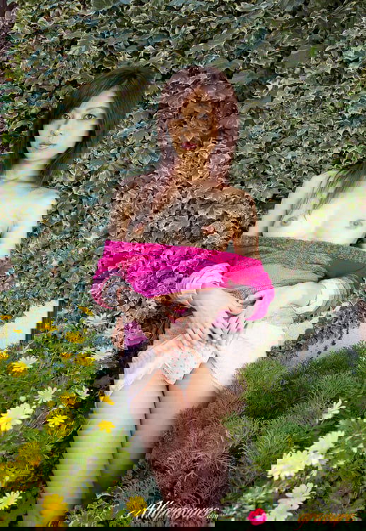 2259701.jpg