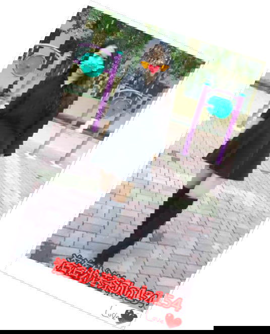 搜狗截图17年08月15日0321_19_副本.jpg