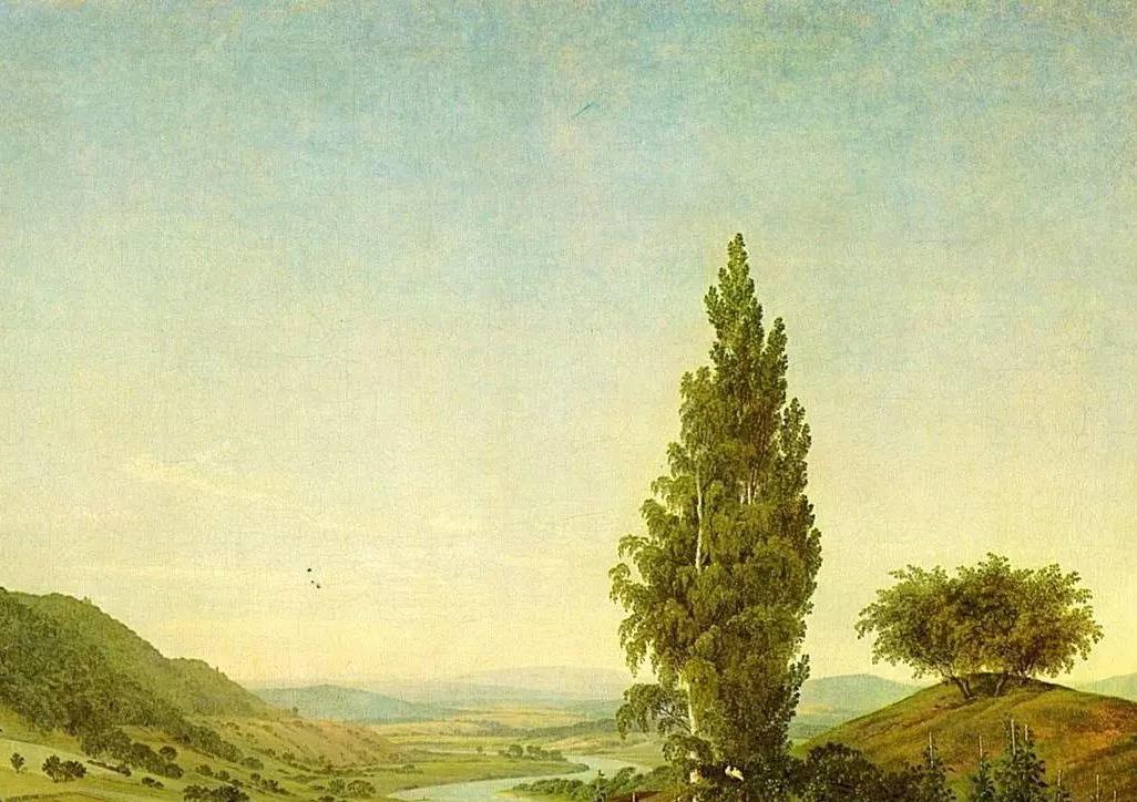1 (732).jpg