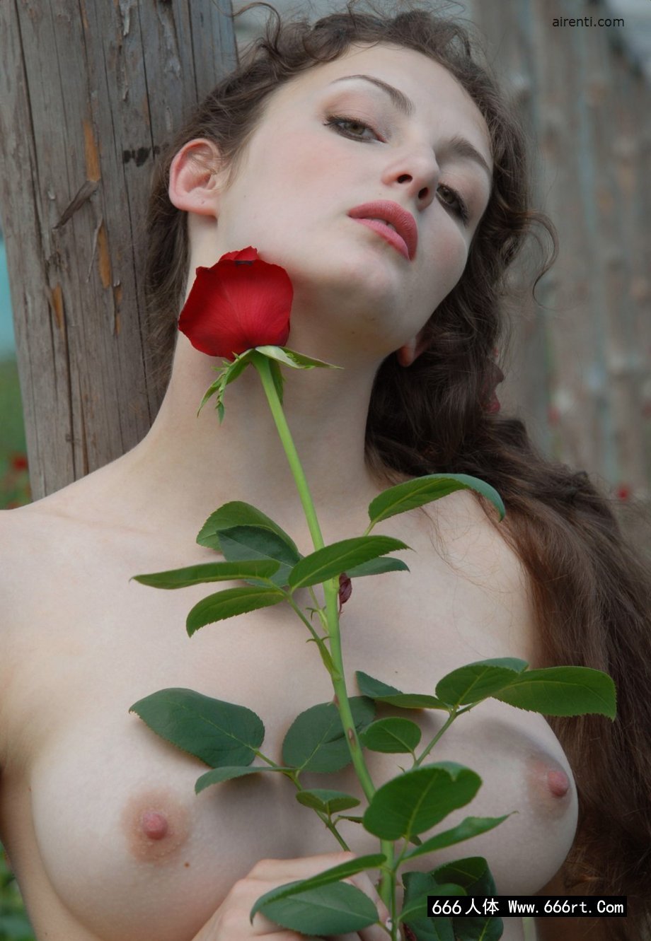 2248x0056.jpg