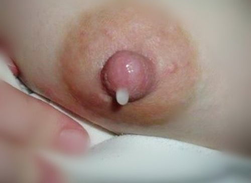 104523q5pi8lso5sxxp8nz.jpg