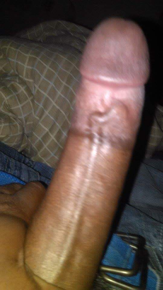 131220uzw06spfch6sdine.jpeg