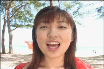 386.gif