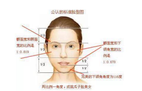 瓜子脸，最均匀理想的脸型。它的特点是额头与颧骨基本等宽，同时又比下颌稍宽一点，脸宽约是脸长的三分之二 ...