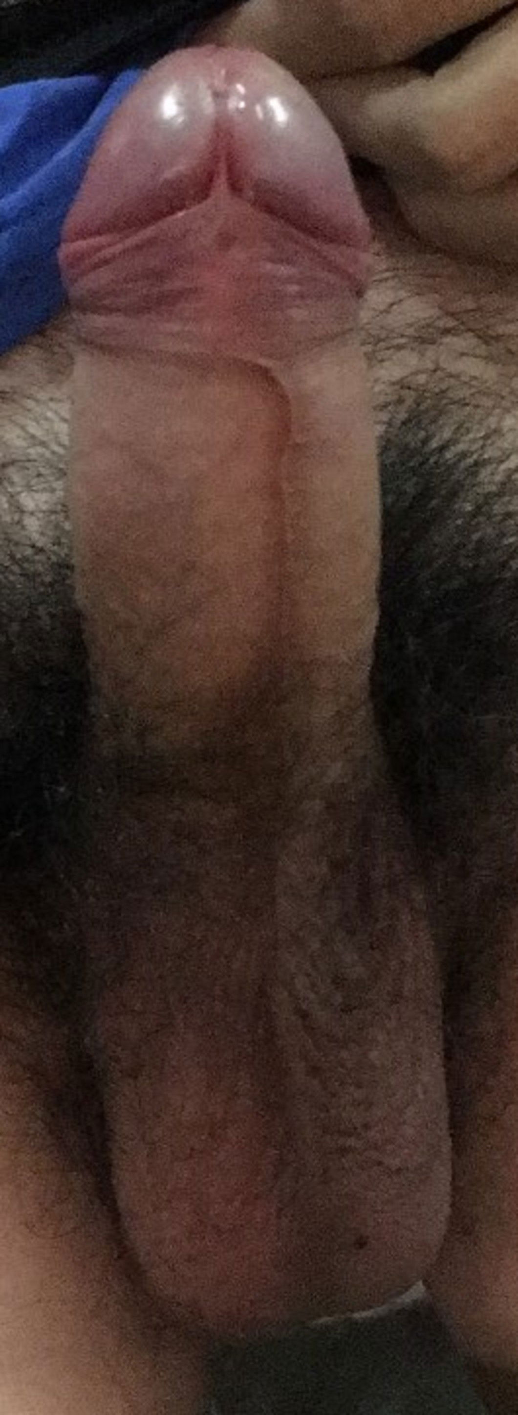 014723y6jh6ebsef68686p (1).jpg