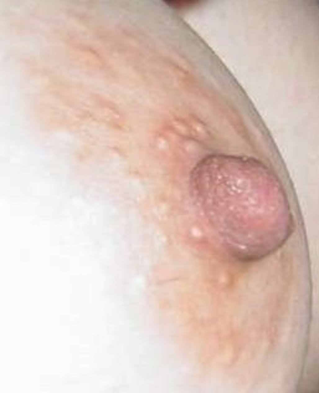 100054fqcwsc2184k0l16b.jpg