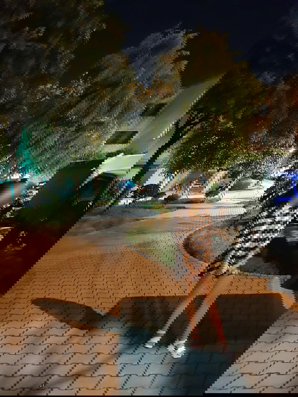 11.jpg
