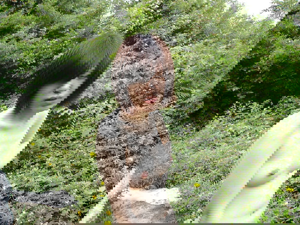 25.jpg