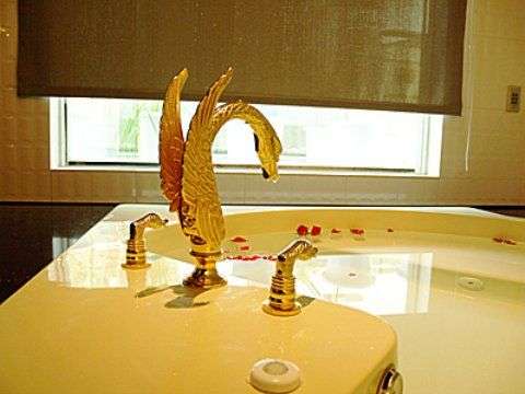 291_12_image.jpg