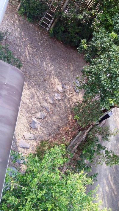 picb (13).jpg