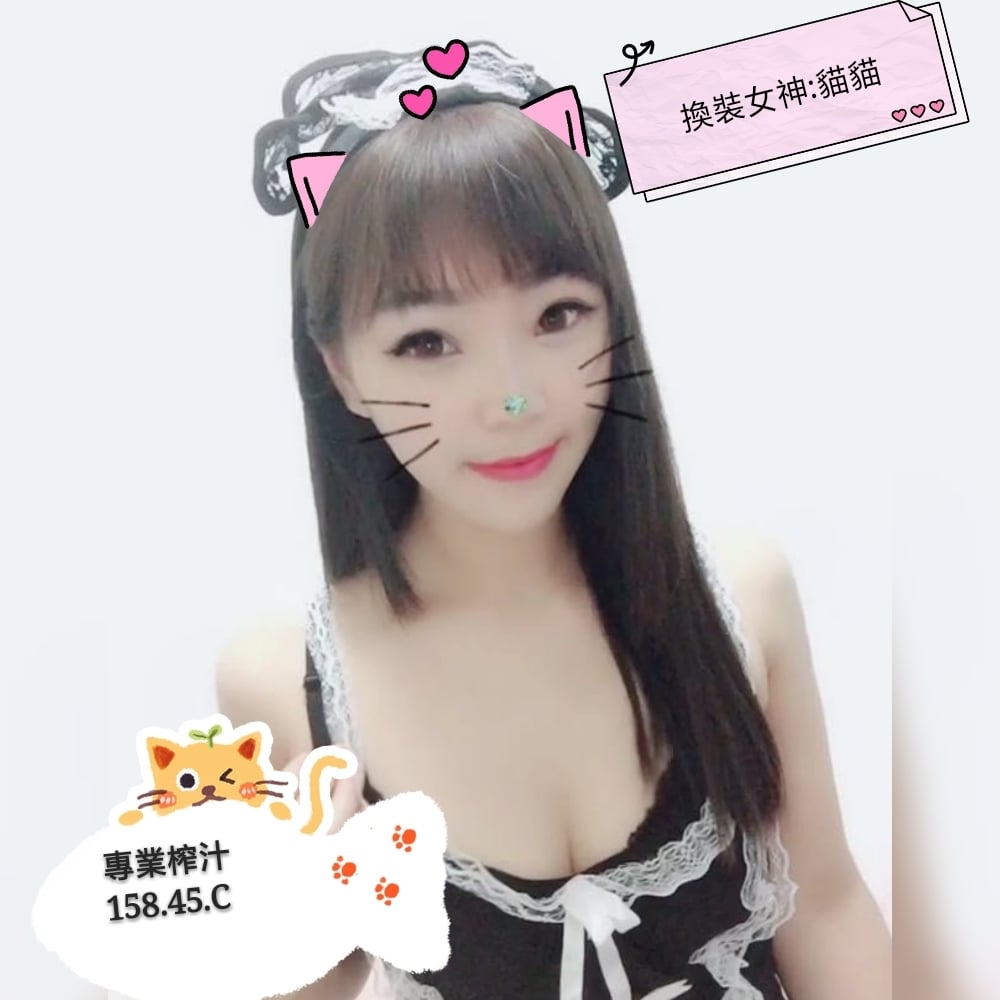 13-貓貓-南屯港澳-01.jpg