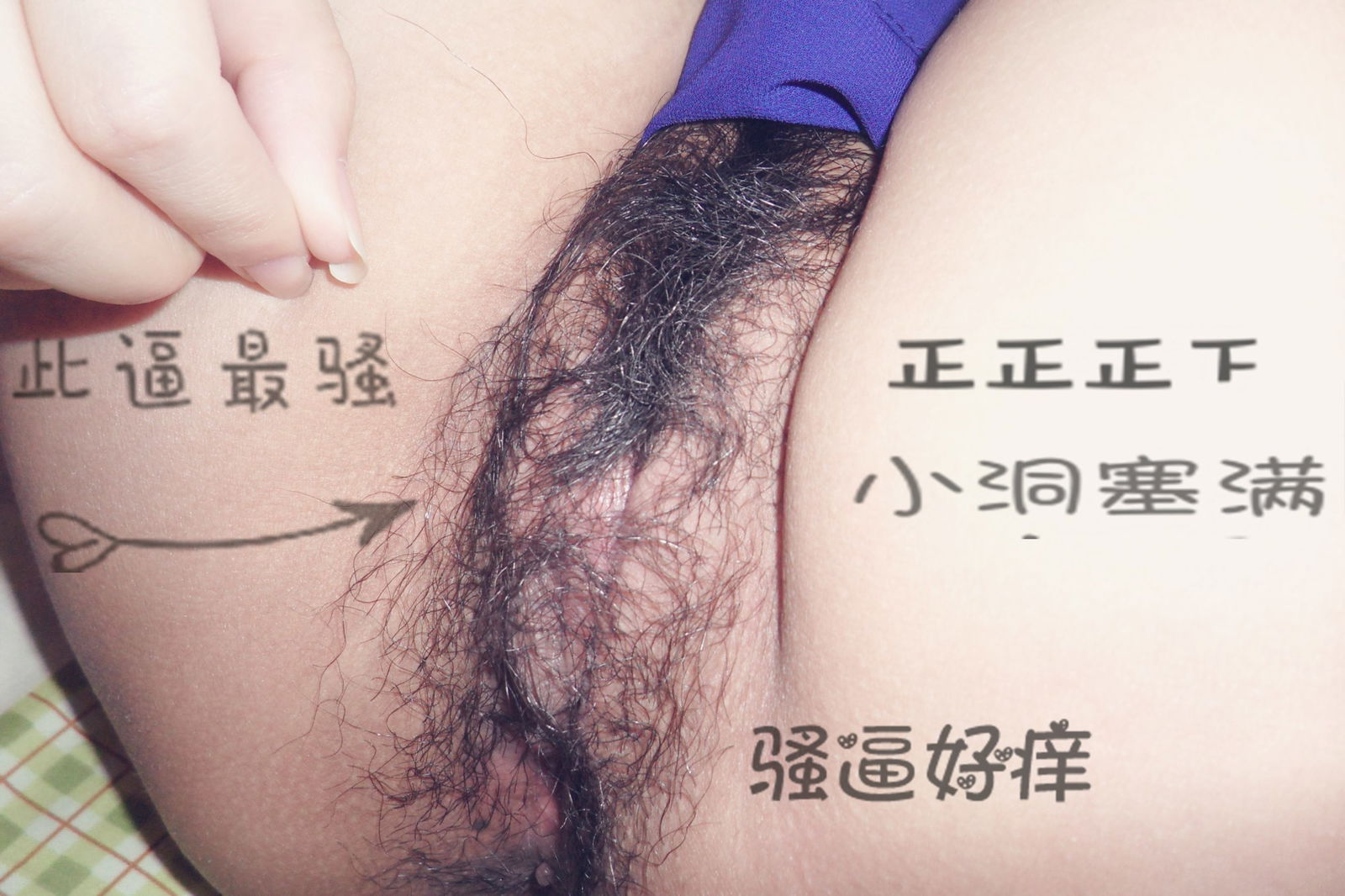 SAM_5257_副本.jpg