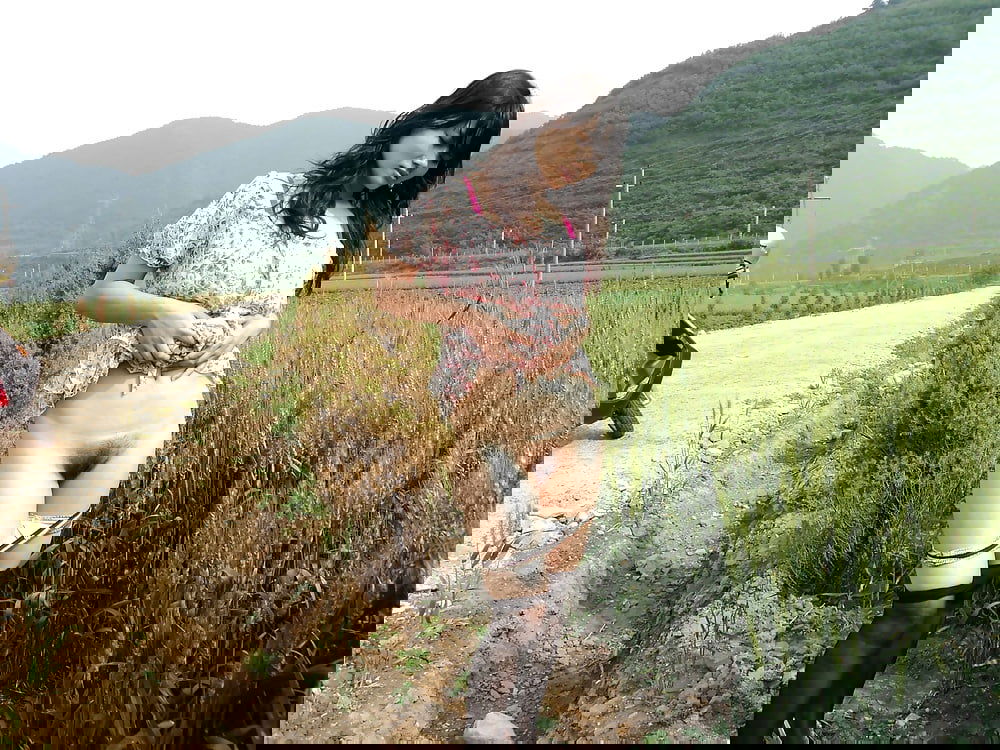 695_1000.jpg