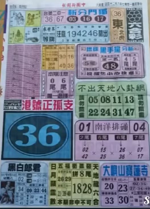 444.JPG