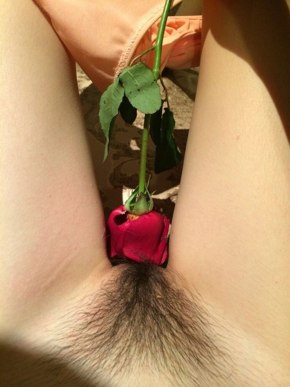871a74f9-c5c3-49db-bfb8-994ae837a0c9.jpg