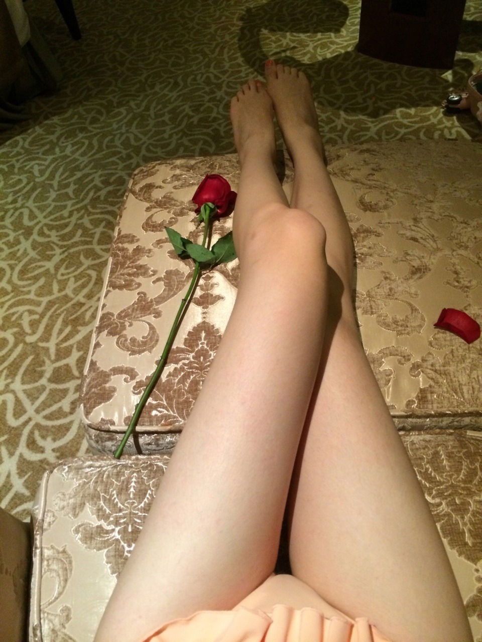 871a74f9-c5c3-49db-bfb8-994ae837a0c9.jpg