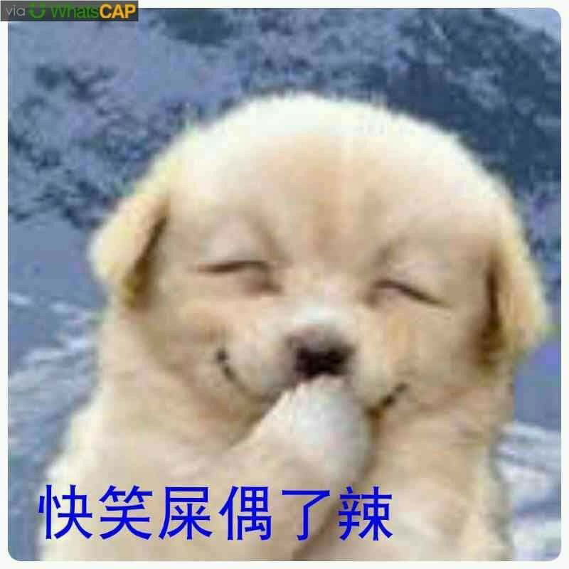 AA4FEFAB-A7C3-45CE-9BB4-4AE4CBDFA601.jpeg