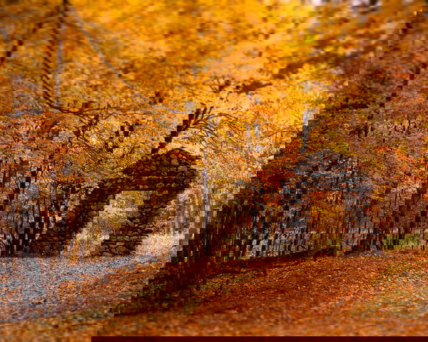 4bb83b83413b2.jpg